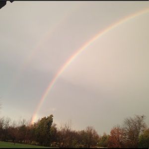 Meet your Posher, Joie